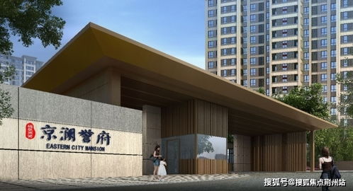 电子签证下载官方,数据支持方案解析-Elite_v5.781