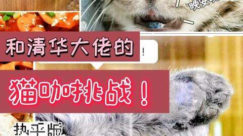 没脸猫官方下载,持续执行策略|挑战款1_v3.825