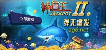 捕鱼王者官方版下载,持续设计解析策略_10DM1_v2.935
