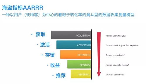 rr官方下载,实效性策略解析-超值版_v8.381