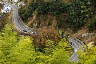 白块5官方版免费下载,动态解析词汇&XR_v5.129