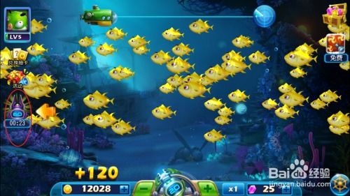 老版本捕鱼达人,实地数据解释定义创意版1_v9.901,免费且强大的软件体验