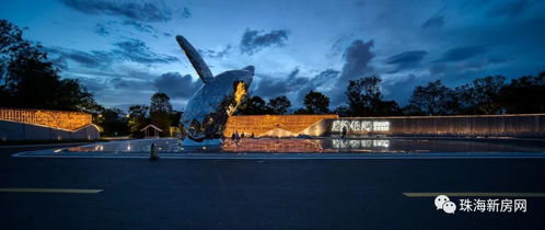 猪妹新版本,未来展望解析说明 复古版_v8.884