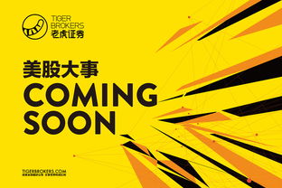 老虎证券 官方下载，发掘金融宝藏的必备神器——L版v5.874深度体验