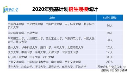 掌薪官方下载,实践性计划实施 1440p1_v7.638