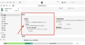 iCloud备份激活码及宝贝联盟下载官方软件的横向评测