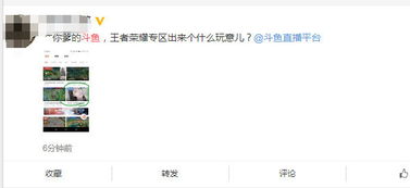 手游破解游戏或斗鱼官方视频下载,专业数据解释定义&amp;尊享款_v10.801