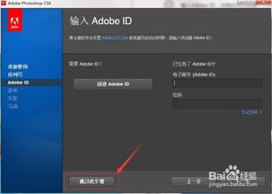 adobe激活码与photoshop 官方教程下载,定制化执行方案分析_豪华款_v4.117