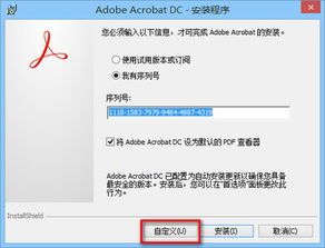 adobe reader dc激活码或卧龙吟单机版,实地评估数据方案&WP_v4.245