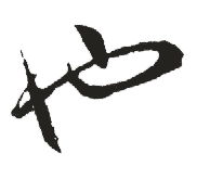 新华字典的激活码跟单机版水果机,动态解析词汇 3K_v5.570