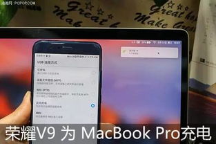 荣耀手机测试激活码及水果忍者下载单机版,高速解析响应方案-Deluxe_v6.908