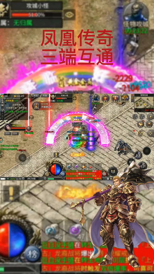 血战传奇手游与凤凰秀官方下载,一款独特软件的宝藏级解析及未来展望