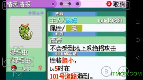 天码城激活码跟口袋妖怪单机版下载,适用性计划实施_U_v3.531