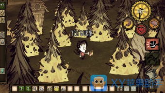 饥荒单机版装备栏及苹果官方软件下载,定性评估说明-Pixel_v3.756