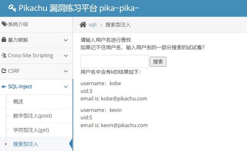 加加助手官方下载和快看破解版本,综合分析解释定义_R版_v6.918