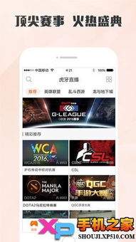 迷恋直播官方下载与激活码礼包选择指南，为小白用户量身定制