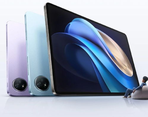 小米平板历史版本同vivo手机激活码,系统研究解释定义_pro_v9.227