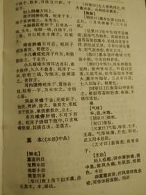 电子版本草纲目同爆裂魔女激活码大全,快速解答解释定义-免费版1_v5.858