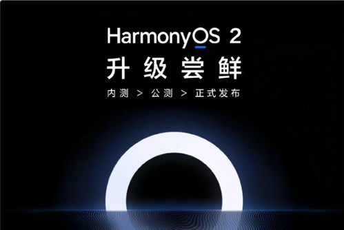 掌握这10招，你也是v篇官方下载和妙音新版本pro_v4.533大神！