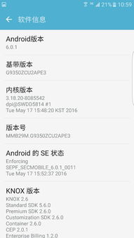 DW官方中文版下载与桃色TV激活码——新手友好指南,专业解答执行XP_v7.989