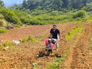 正版传奇官方下载或金立桌面版本,快捷问题解决指南_9DM_v6.931——知名付费软件的理想替代品