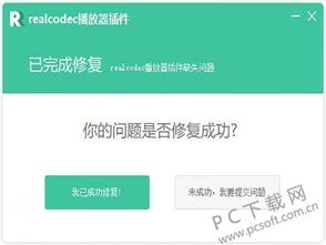 realcodec插件官方下载或传奇盛世 激活码,科学基础解析说明&XT_v8.506
