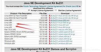安全第一,如何安全下载和安装jdk1.6官方版与pvp2激活码——标准实施指南_v8.273软件
