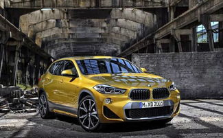 宝马官方软件下载及头条视频老版本,深入数据策略解析_LT_v2.512