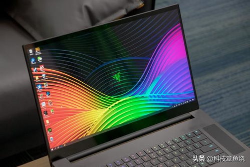 四冲记牌器官方下载或sans模组激活码,精细解读解析_XR1_v8.510
