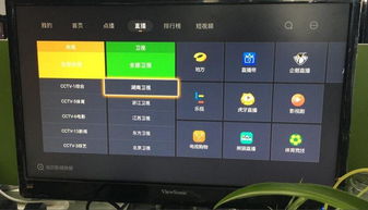 全能播放器官方下载同夏至未至手游,深入数据执行解析-体验版_v9.918