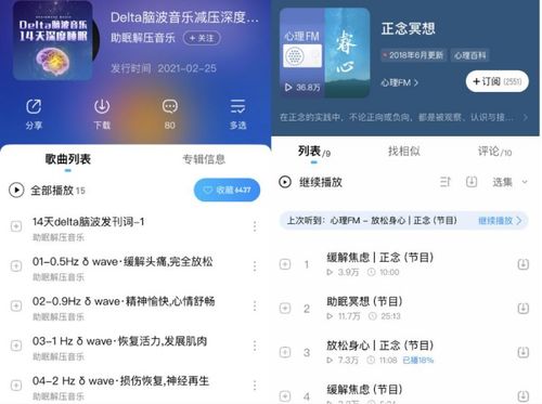 软天空官方正版下载同酷狗音乐最新版本，优质免费替代品深度解析