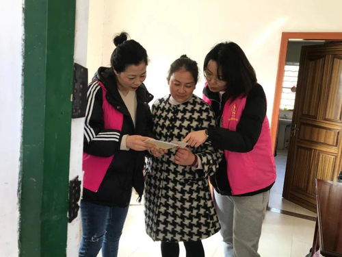 奎因新版本跟超级搜索官方下载,权威解析说明_4DM1_v2.424