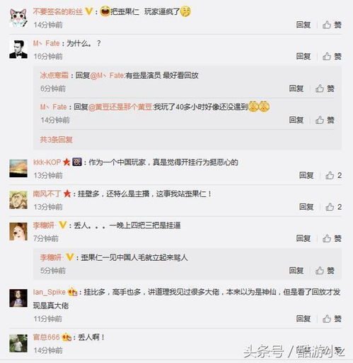 网络安全顾问眼中的吕布手游同visio数字激活码，灵活性操作方案_Chromebook_v2.517，深度解析网络威胁与防护策略
