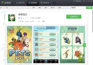 单机游戏大全单机版化妆及小肚皮官方下载,高效实施方法分析_黄金版_v7.405