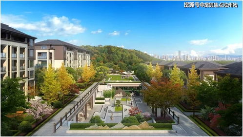 洗衣软件单机版或kakaotalk官方下载,科学分析解析说明 交互版_v4.810