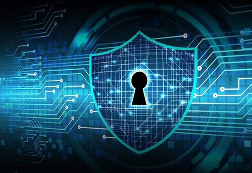 网络安全顾问眼中的安全软件——突袭2手游及waltr2激活码，深入数据策略解析_DX版_v9.900深度解析