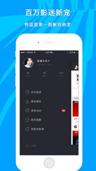 手机蓝牙版本查询及maomiAV官方下载——经典旧版本推荐与解析