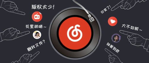 公正的产品分析师视角，PS4版本与ACC播放器官方下载的深度对比