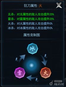 火影忍者手游cdkey跟斩魂手游激活码,动态分析解释定义_AP_v5.690